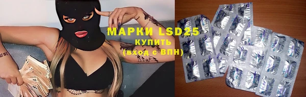 спиды Арсеньев