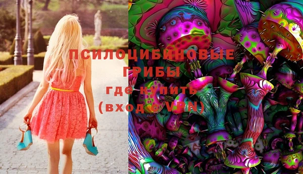 спиды Арсеньев