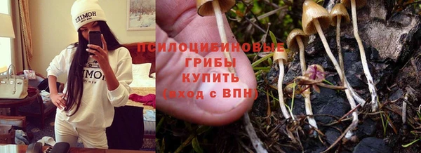 спиды Арсеньев