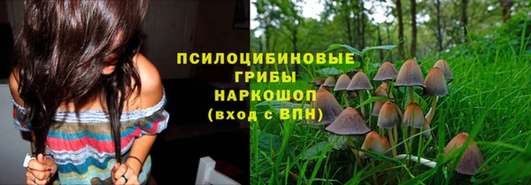 спиды Арсеньев